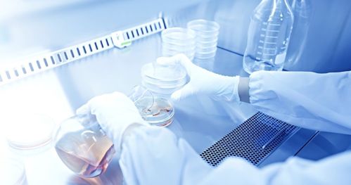 吉雷新材料 以“材”賦能，勇做新材料技術研發領域的創新者