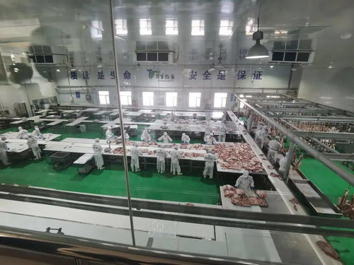 電子商務(wù)進(jìn)牧區(qū)，郵政企業(yè)有話說